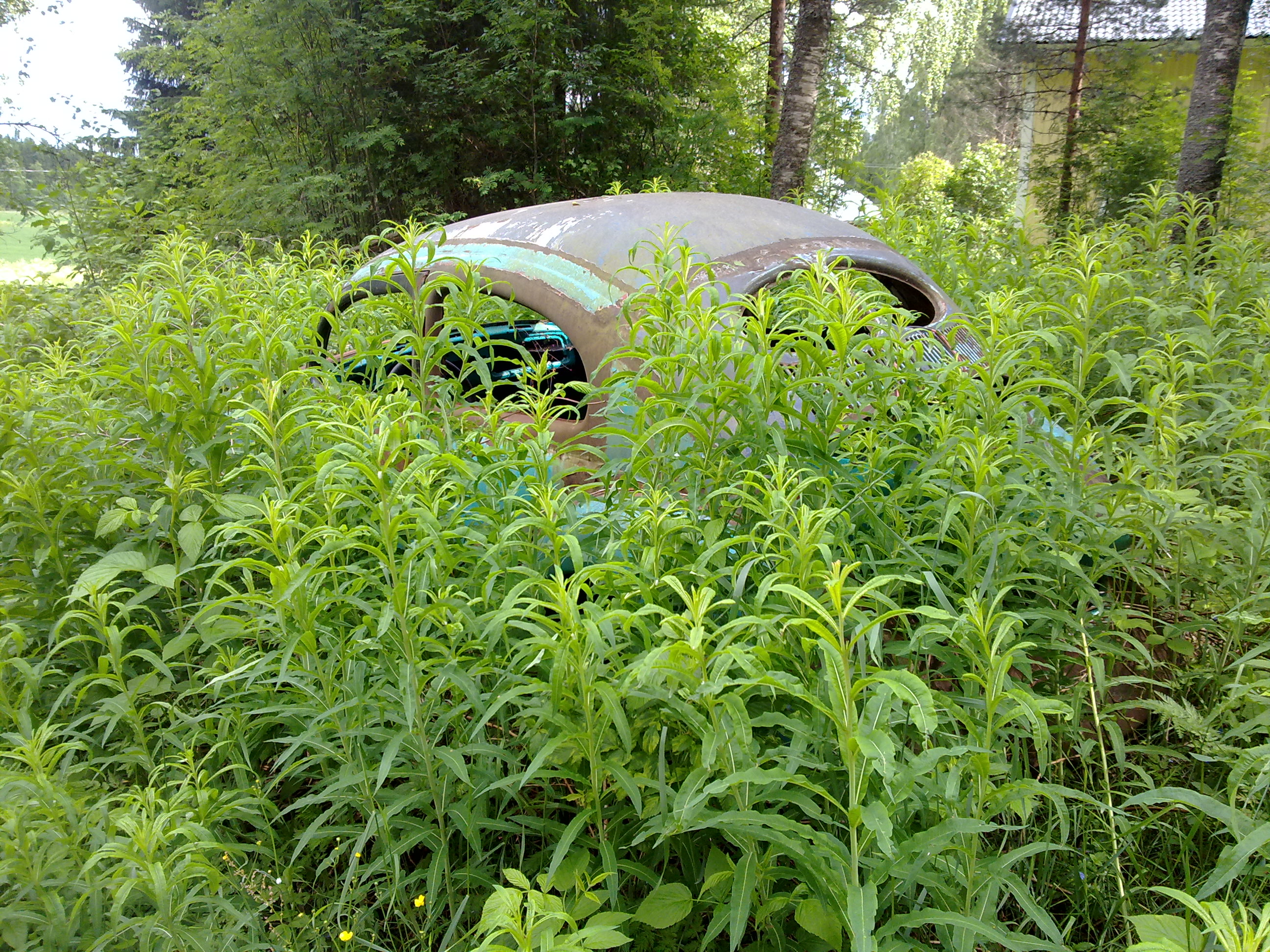 Projektikuva