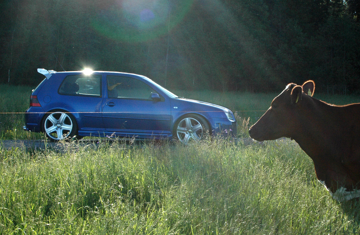 Golf V6 4motion — kuva 031